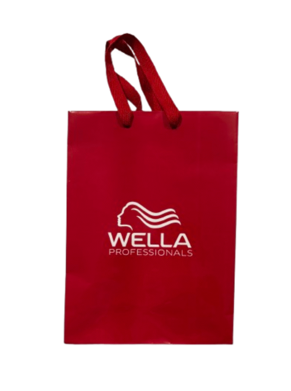 Bolsa de Papel (2) Bolsa