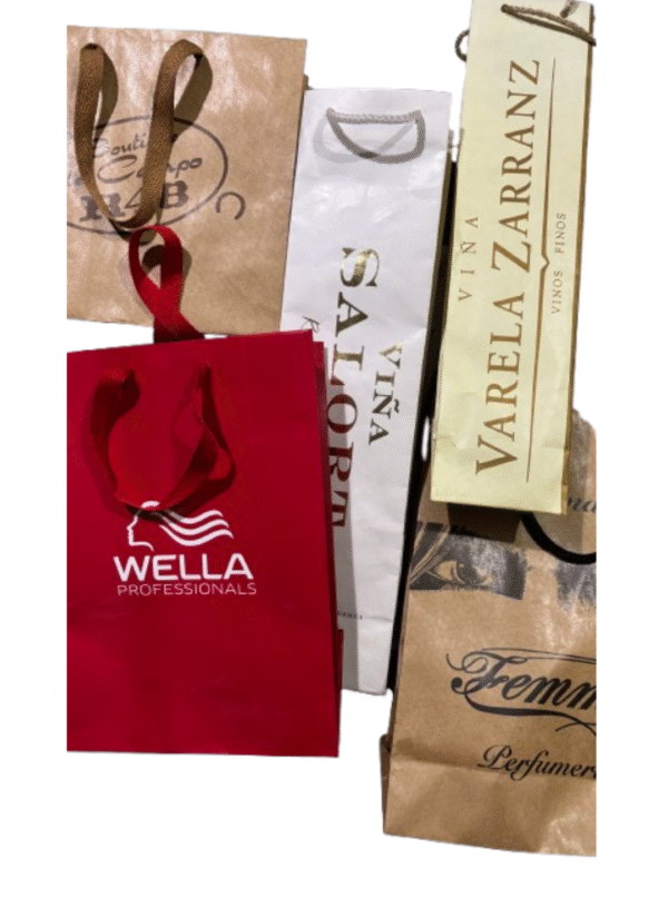 Bolsa de Papel (4) Bolsa